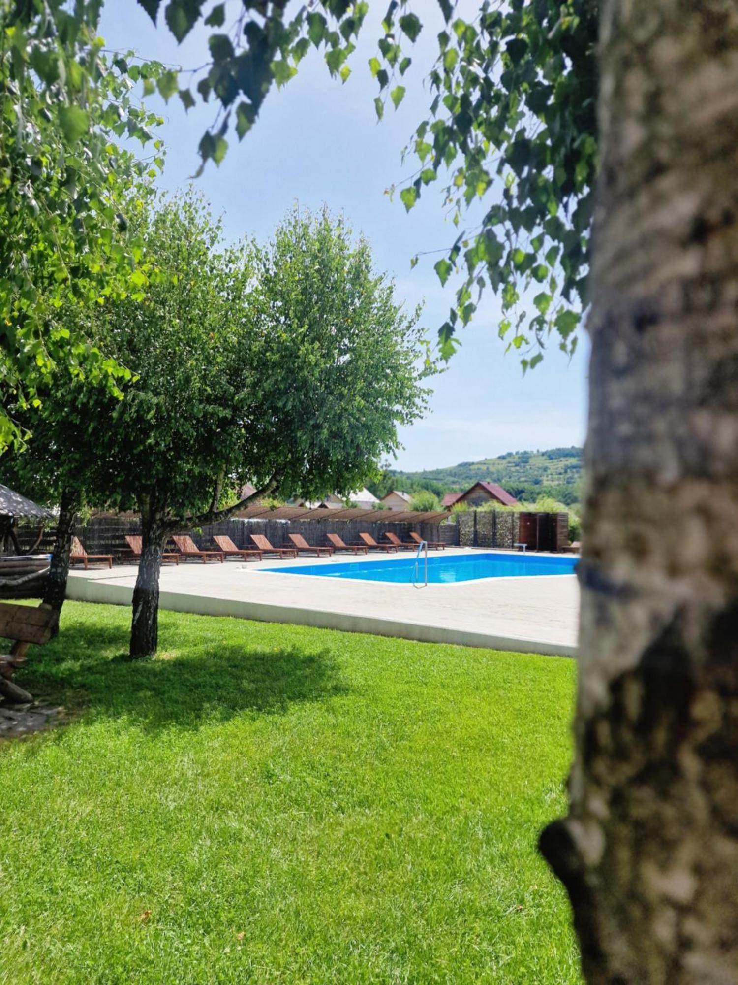 Bed and Breakfast Casa Tomsa Rozavlea Exterior foto